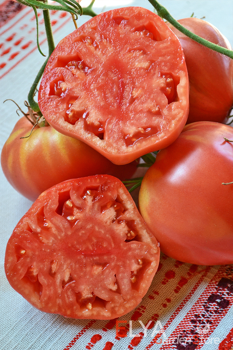 Семена томата Малиновое Сердце Румянки - коллекционный сорт в магазине Elya Garden