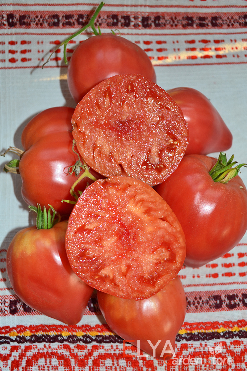 Семенат томата Хейс - вкусный и урожайный коллекционный сорт с мясистой сахаристой мякотью - фото магазина Elya Garden