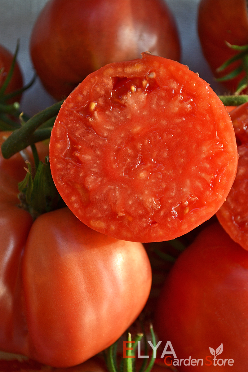 Коллекционный сорт томата Немецкий Розовый Йоддера - крупноплодный, с насыщенным томатным вкусом и ароматом - семена в магазине Elya Garden