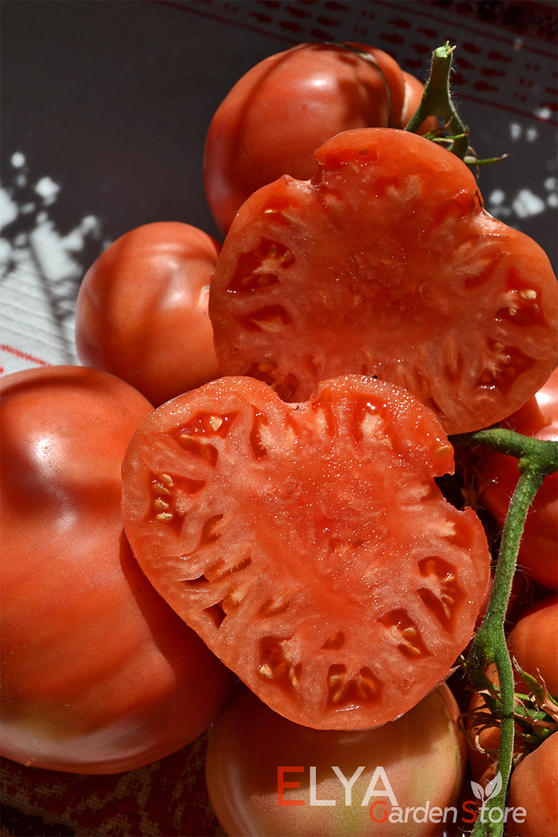 Семена томата Сердце Иванушки - коллекционный сорт мясистый, крупный, с отличным вкусом - фото магазина Elya Garden