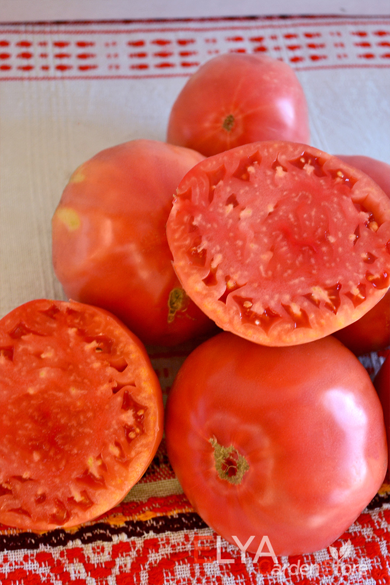 Семена томата Дакоста Португальская - один из лучших коллекционных сортов, просто великолепен в свежем виде - фото магазина коллекционных сортов томатов Elya Garden