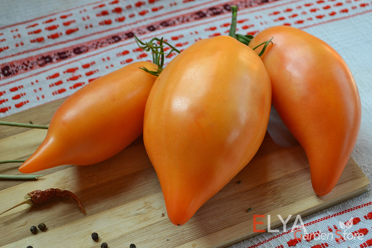Семена коллекционного сорта томатов Буратино в магазине Elya Garden - это урожайный и вкусный сорт - фото