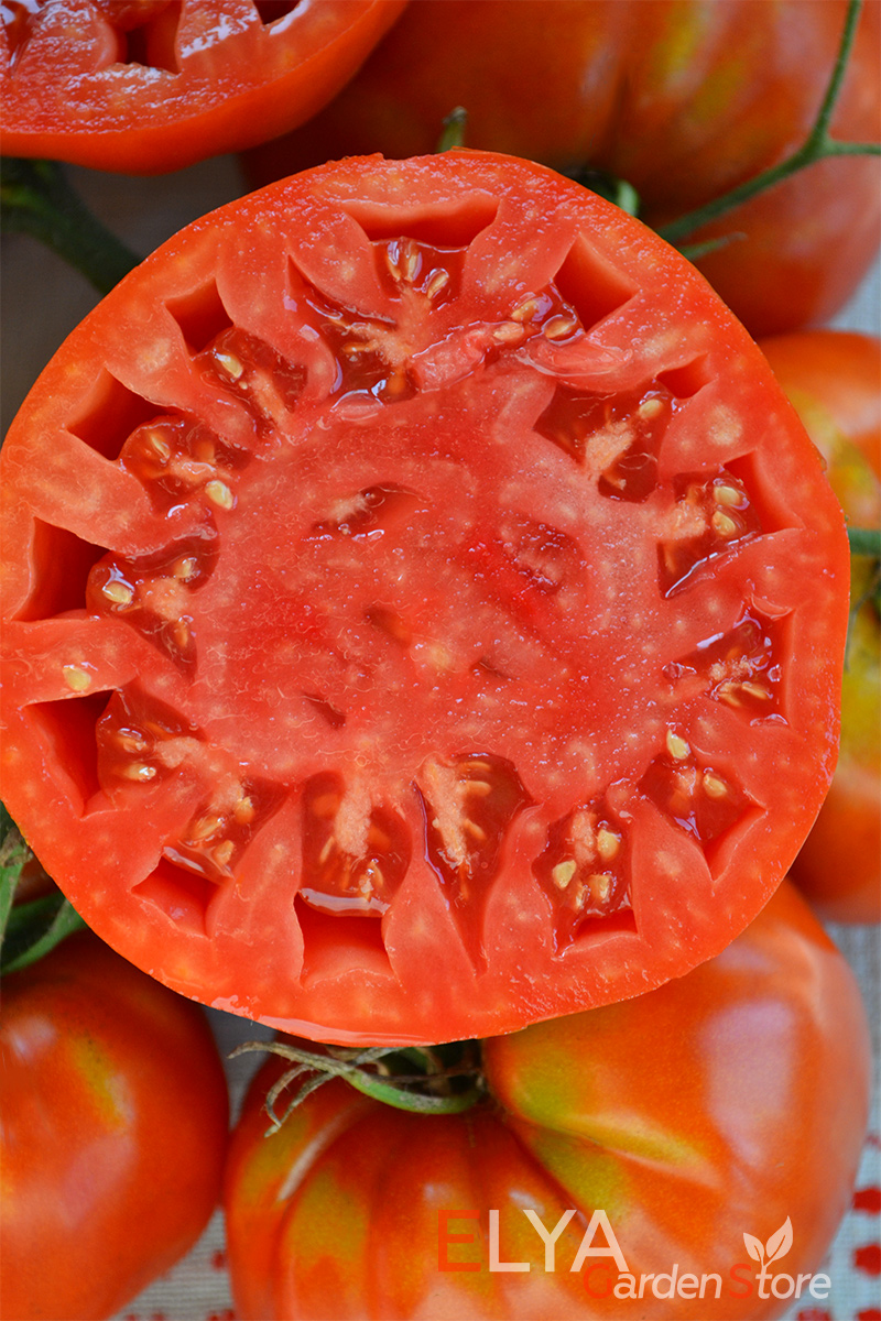 Семена томата Индира Ганди - крупноплодный, мясистый, с приятным насыщенным вкусом - фото Elya Garden
