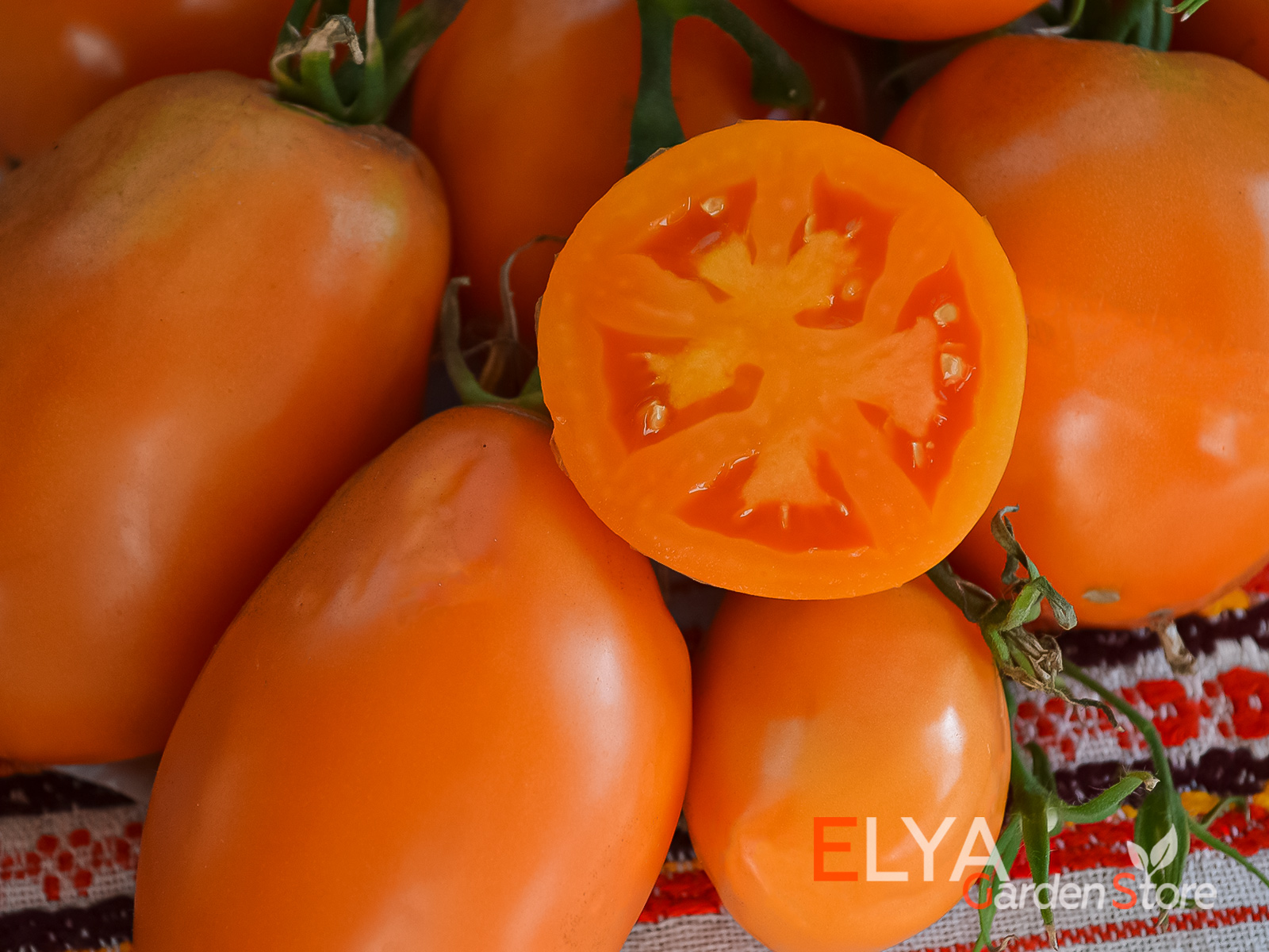 Коллекционный сорт томата Курага - яркая внешность и отличный сладкий вкус - фотография магазина семян Elya Garden 