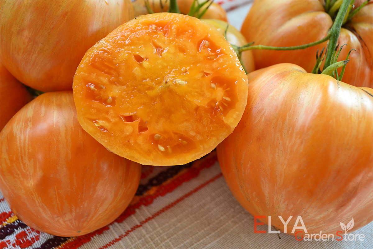 Томат Джазз Оранж - один из вкуснейших полосатых сортов. Урожайный, насыщенный вкус и аромат. Семена в магазине Elya Garden - фото