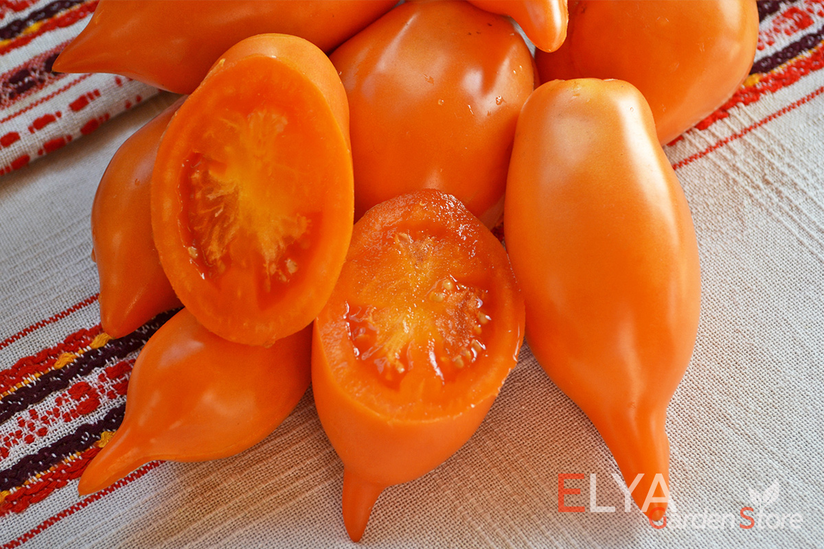 Томат Оранжевая Прогулка - сорт с носиком, очень вкусный, обильный, урожайный. Семена можно купить в магазине Elya Garden