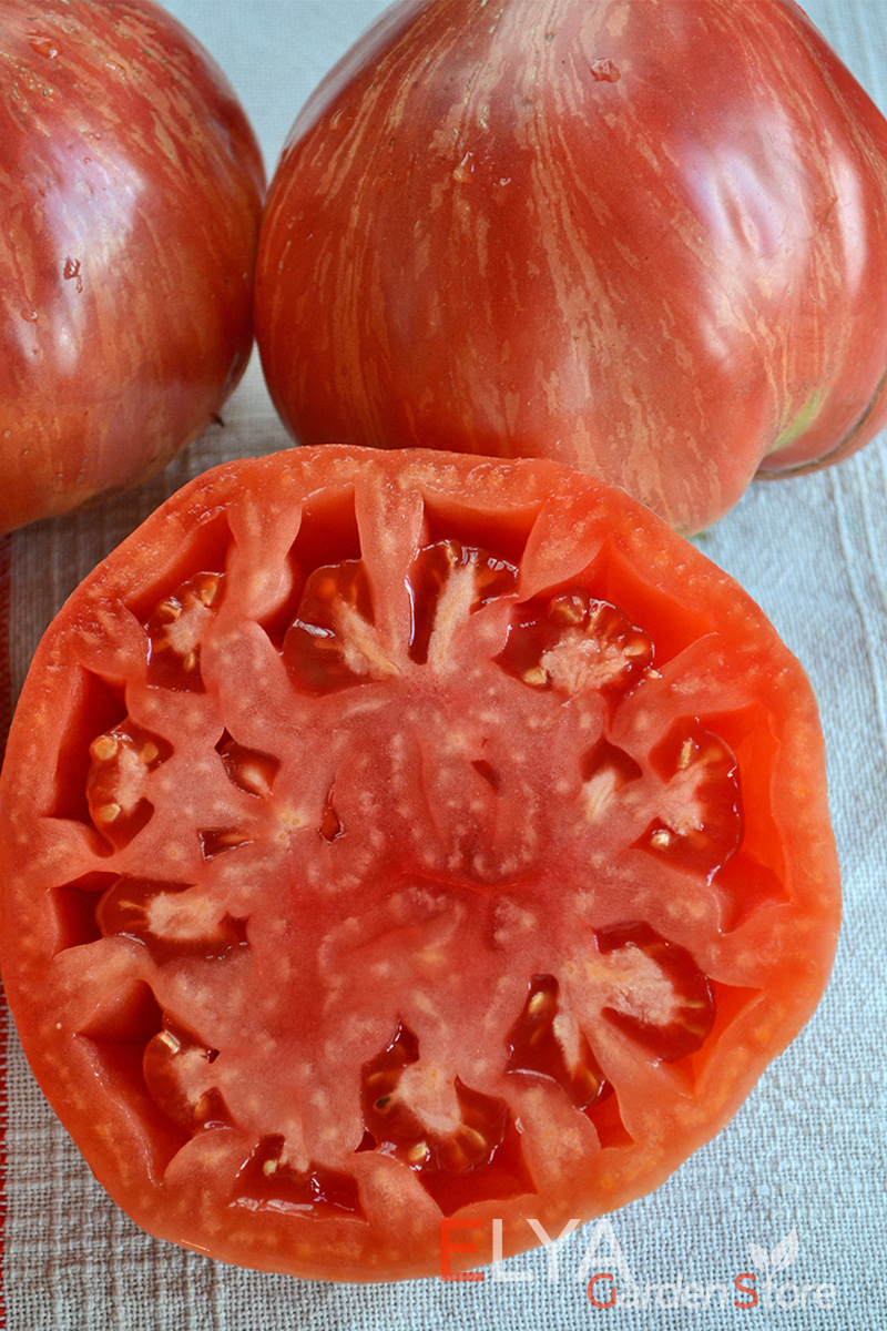 Семена томата Джаз - крупноплодный коллекционный сорт с насыщенным томатным вкусом и интересной полосатой окраской - фото Elya Garden