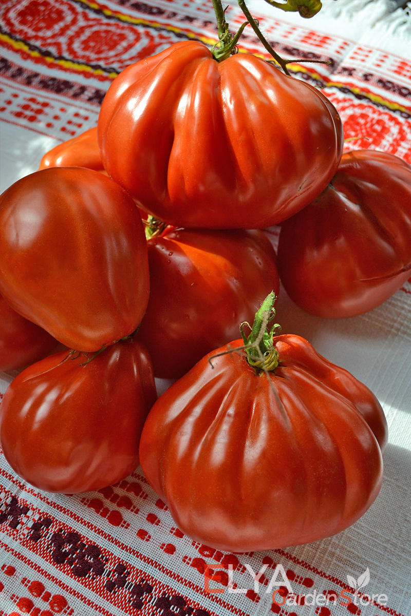 Семена томата Карл - урожайный, с удивительным вкусом коллекционный сорт в магазине Elya Garden - фотография