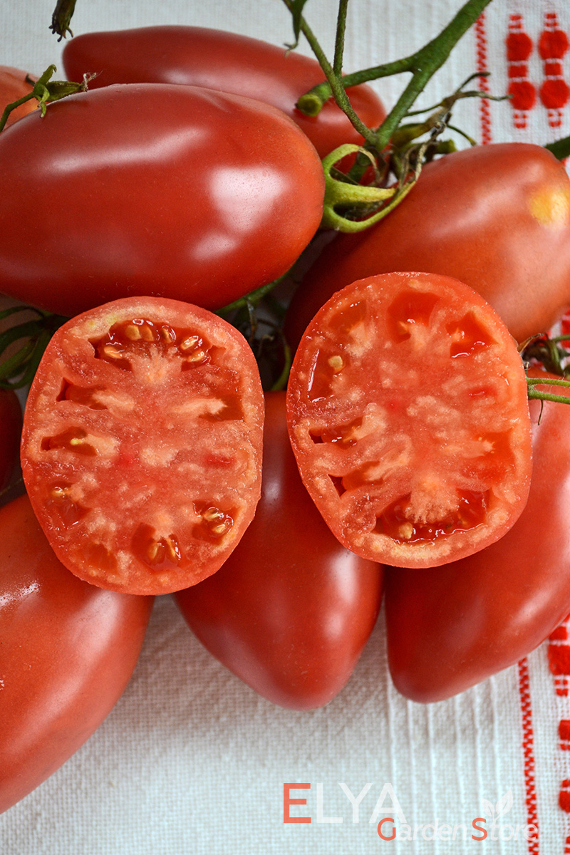 Семена томата Шебойган - отличный коллекционный сорт, высокая урожайность, насыщенный томатный вкус - фото магазина Elya Garden