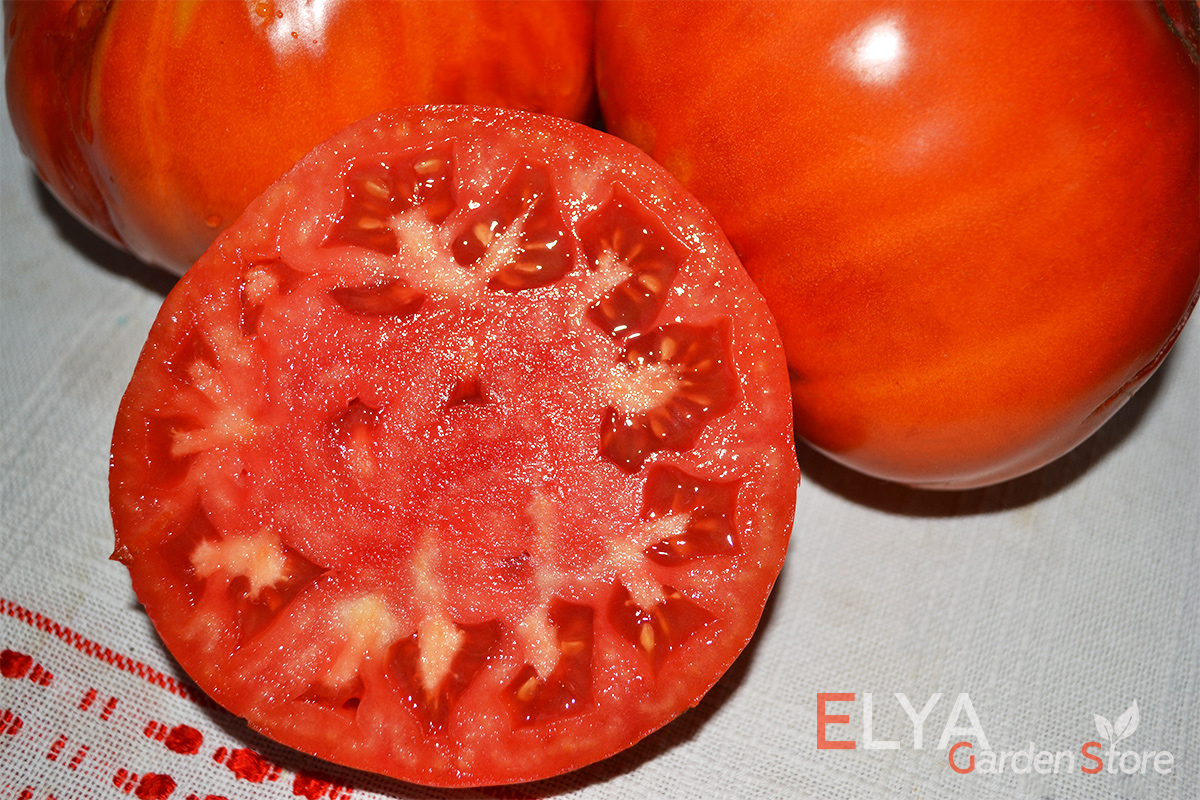 Томат Басаджаун - редкий коллекционный сорт. крупноплодный, насыщенный томатный вкус - семена в магазине Elya Garden - фото