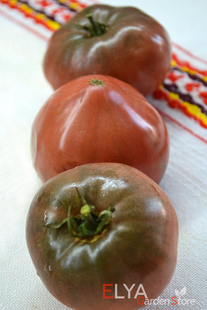 Семена томата Бренди Фред - отличный коллекционный сорт-гном с интересным пряным вкусом - фото магазина Elya Garden