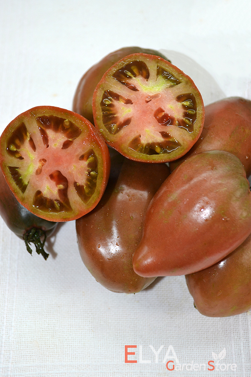 Семена томата Алмандин - гном. Отличный коллекционный сорт, приятный сбалансированный вкус, урожайный. Семена в магазине Elya Garden