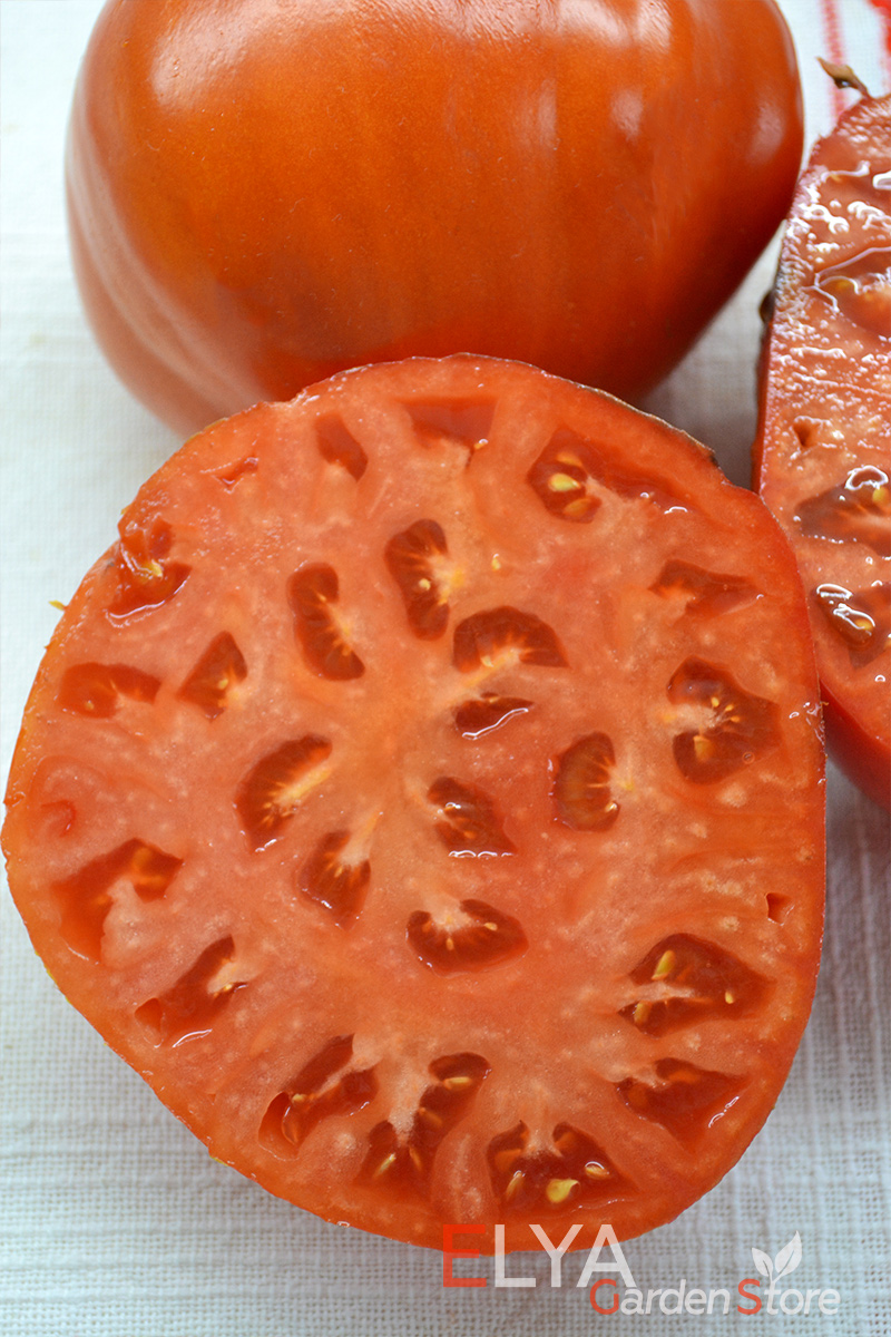 Семена томата мамина Любовь - коллекционный сорт с отличным насыщенным вкусом, сладкий с легкой кислинкой - фото магазина Elya Garden