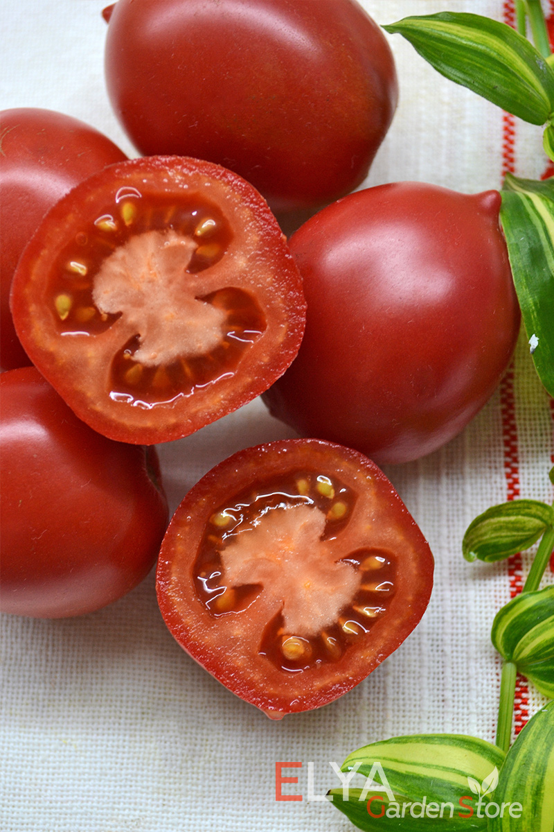 Семена томата Сызранская Пипочка - коллекционный сорт. Урожайный и вкусный с насыщенным помидорным ароматом - фото магазина Elya Garden