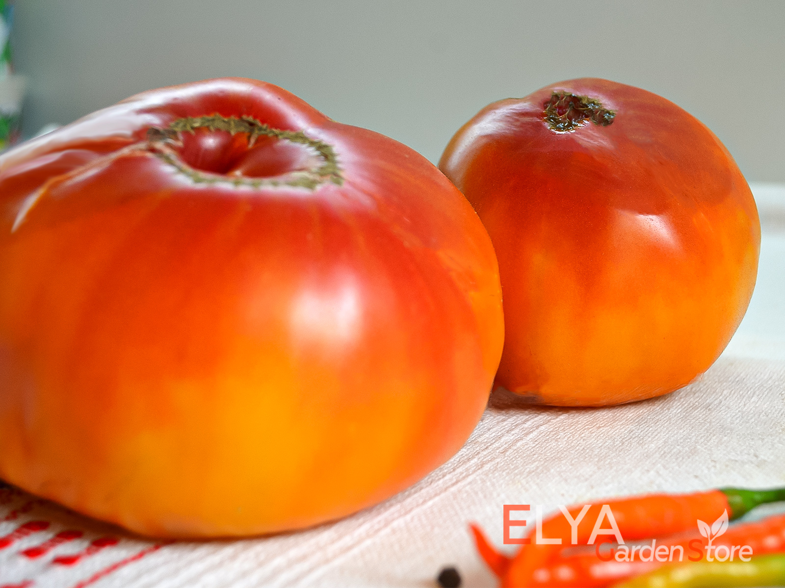 Абрикосовый Конфитюр - красивый и очень вкусный томат биколор - семена коллекционного сорта в магазине Elya Garden - фото