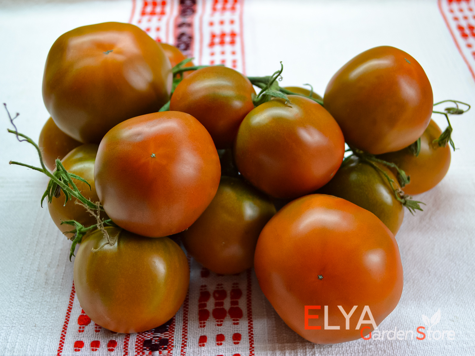Коллекционный сорт томата Терракотовый Торбена - более 130 лет истории и отличный вкус - фото Elya Garden 