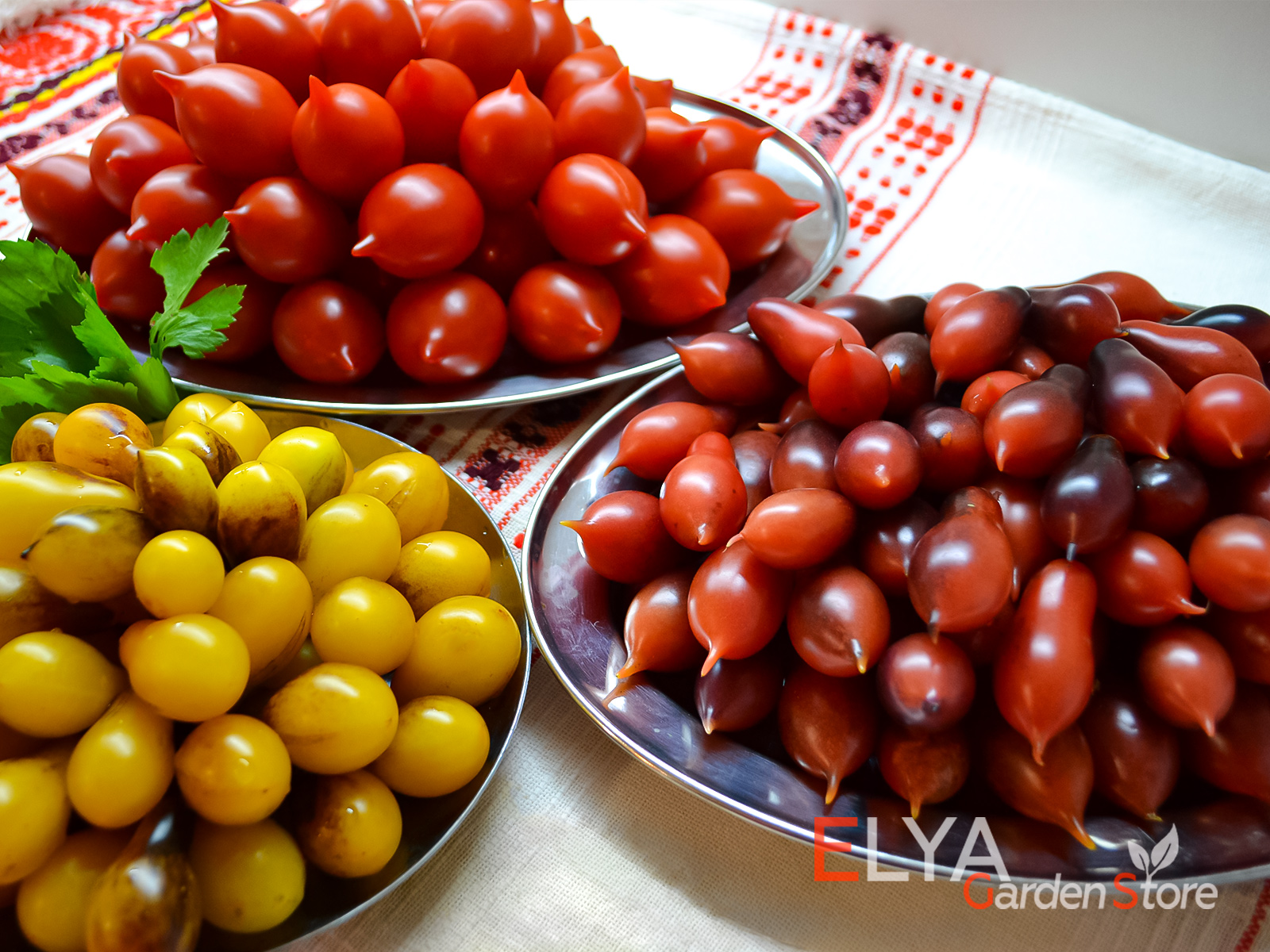 Коллекционные сорта томатов а магазине Elya Garden - фотография