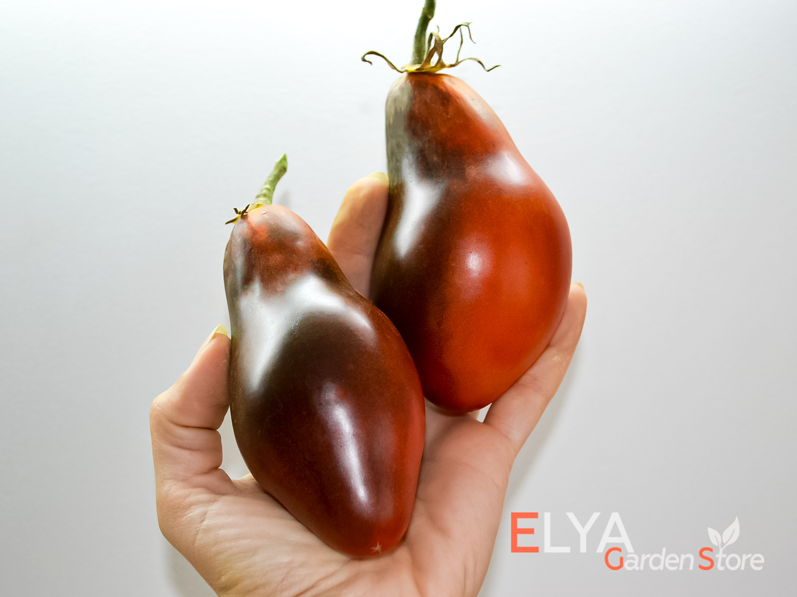 Коллекционный сорт томата Сержант Пеппер Бронза - семена в магазине Elya Garden - фото