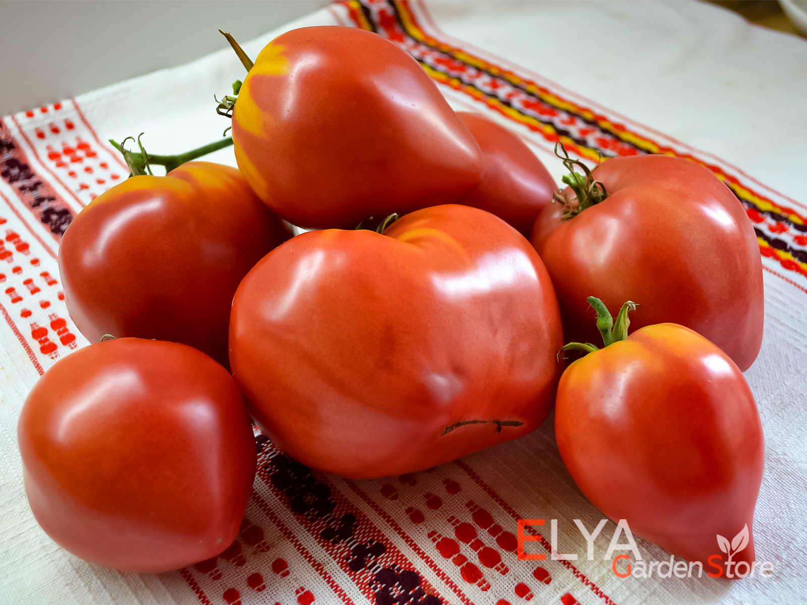 Коллекционный сорт томата Дедушкино Петушиное Перышко - урожайный, отличного томатного вкуса - фото магазина семян Elya Garden