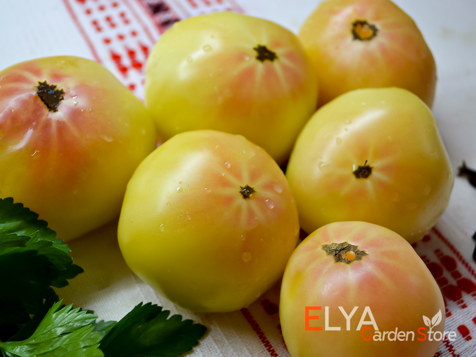 лебединая песня - коллекционный сорт томата с отличным нежным вкусом - семена в магазине Elya Garden