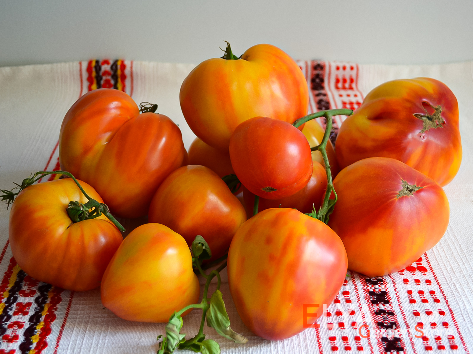 Помаранч - потрясающий коллекционный сорт томата с отличным вкусом и яркой внешностью - фото Elya Garden