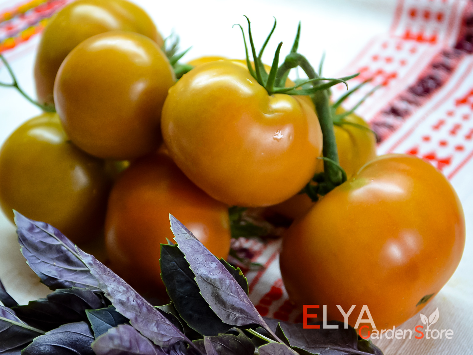 Киванис - отличный коллекционный сорт томата, урожайный с отличным вкусом - фото Elya Garden