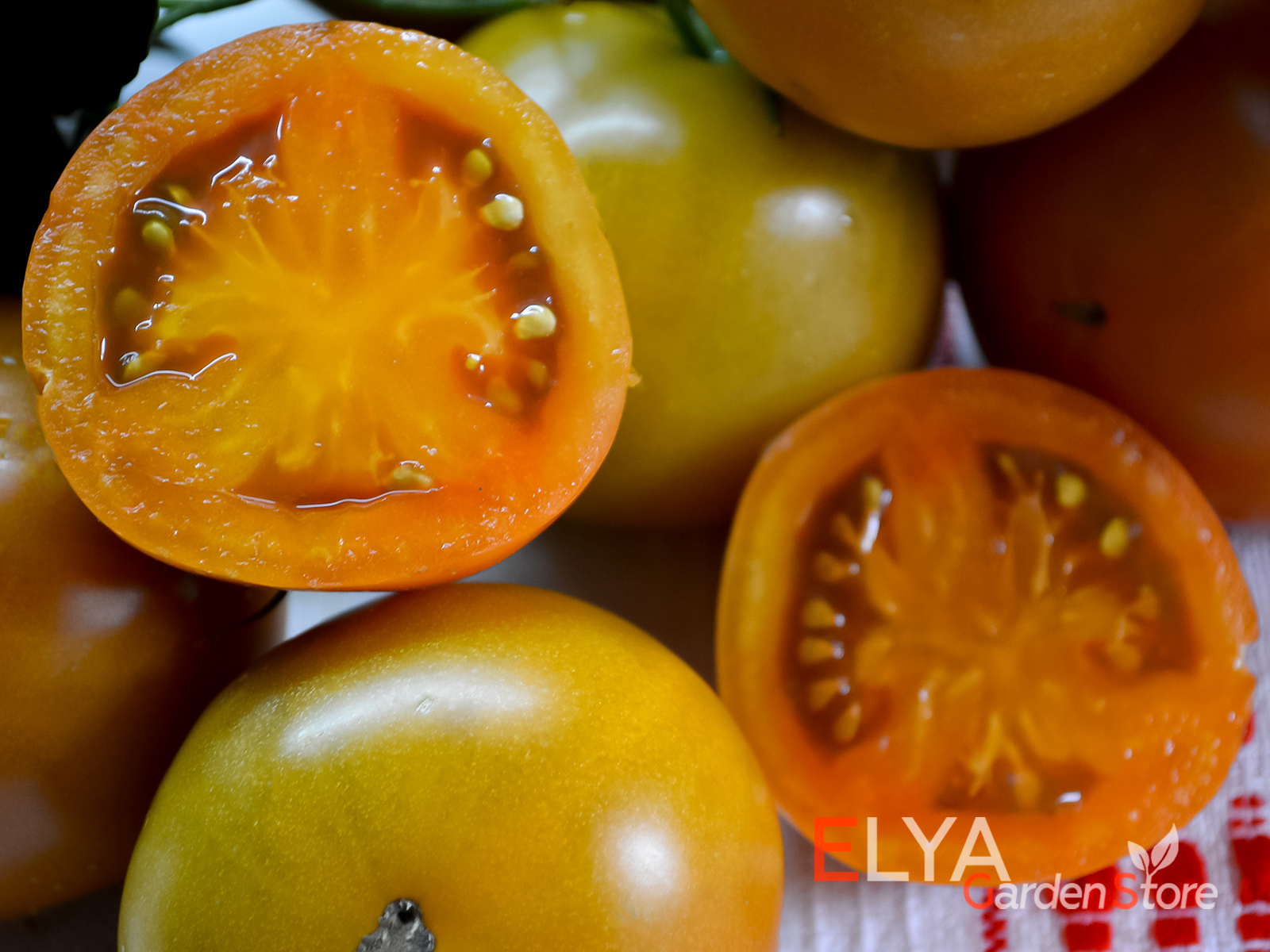 Семена томата Киванис в магазине коллекционных сортов Elya Garden - фотография