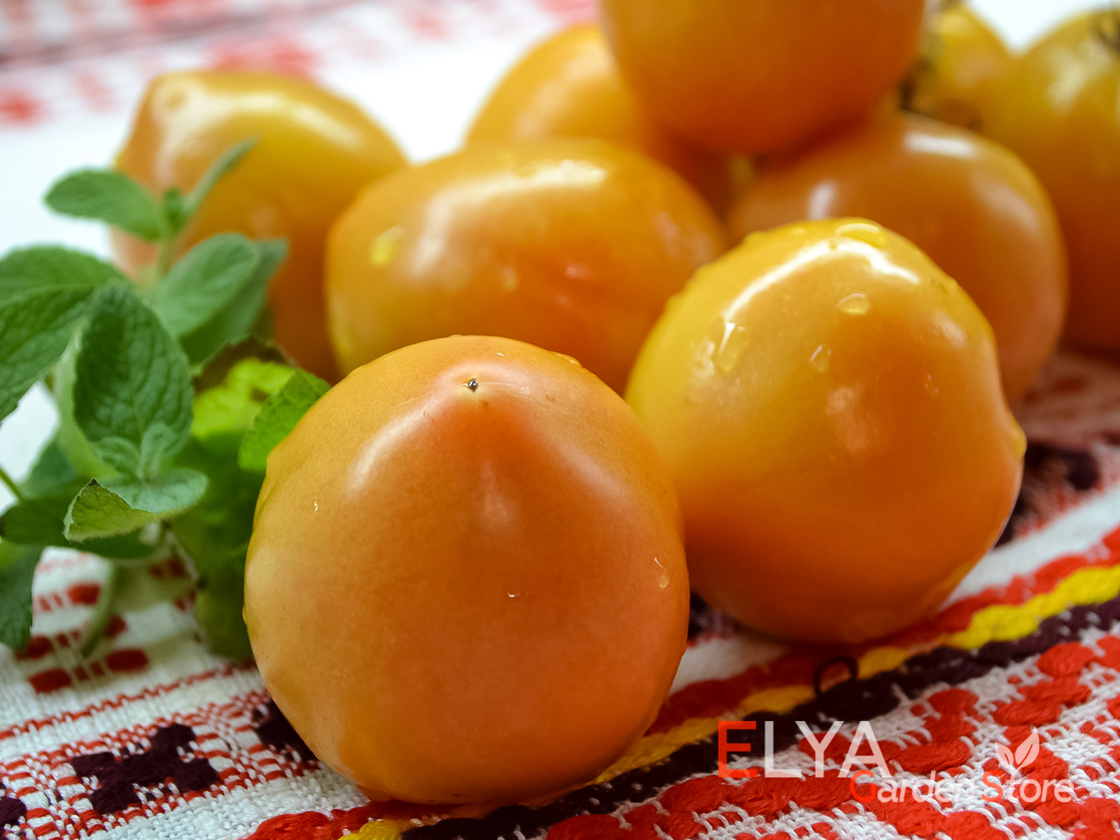 Коллекционный сорт томата Колядник - вкусный, долго хранится - фото магазина семян Elya Garden