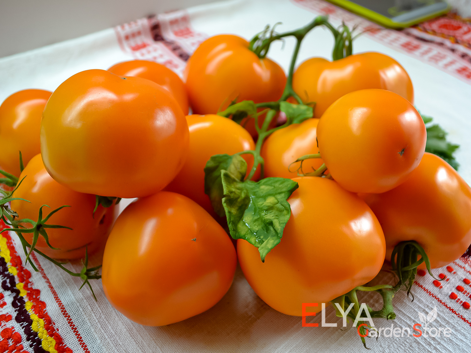 Семена томата Мандарин Кросс - коллекционный сорт, урожайный и неприхотливый с отличным вкусом - фото Elya Garden 