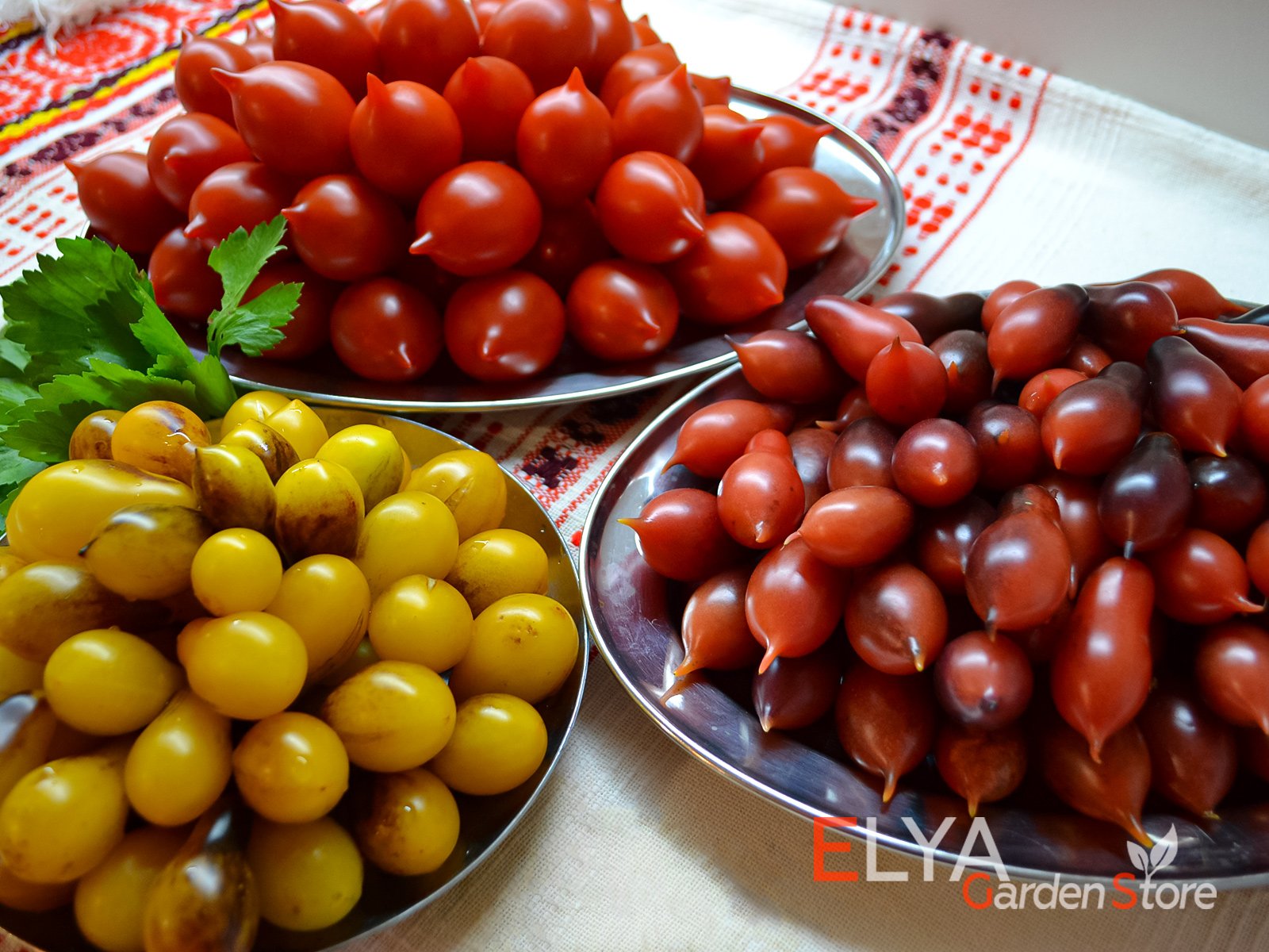 Семена томатов коллекционных сортов в магазине Elya Garden - фото