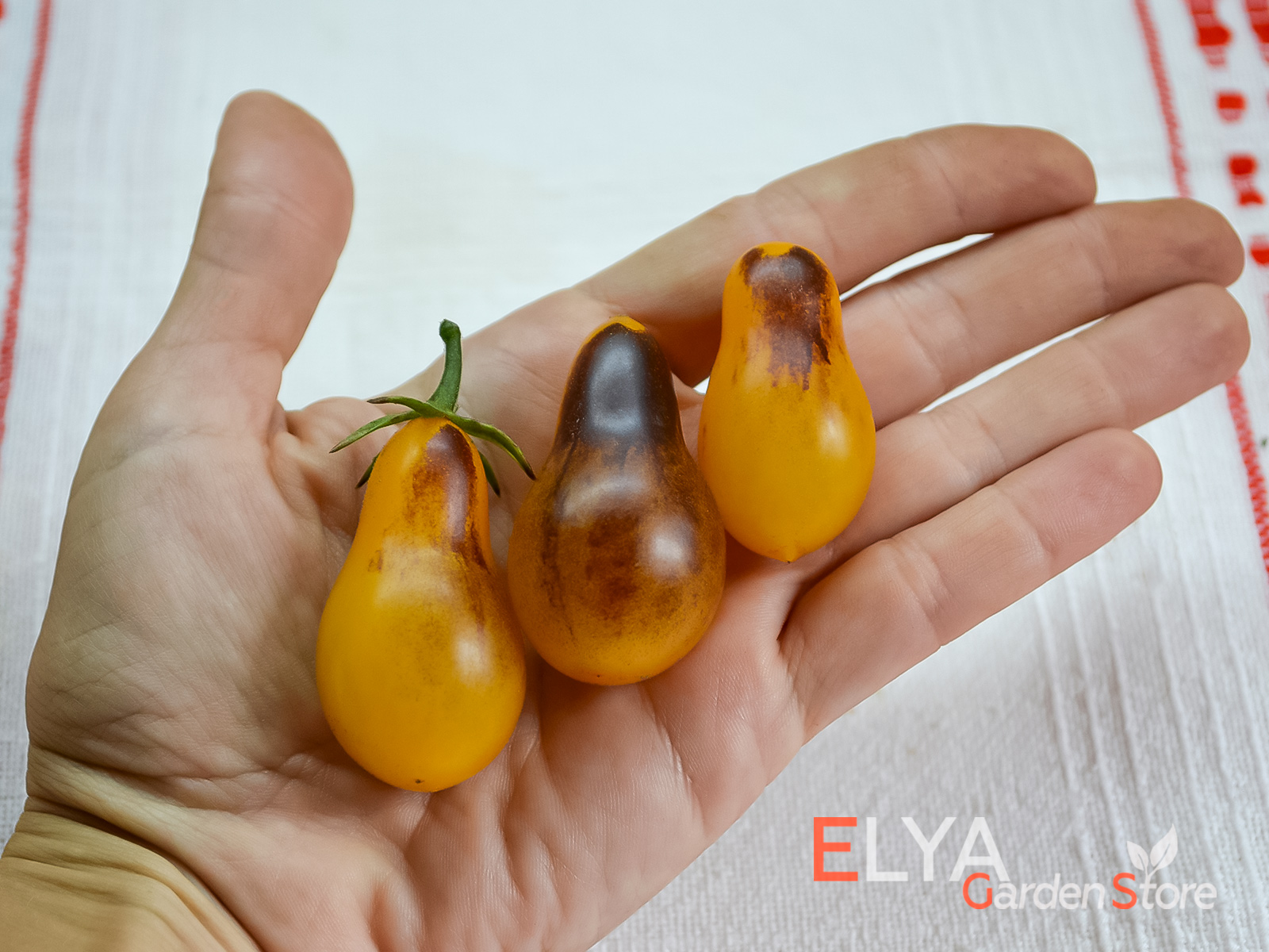 Семена томата Индиго Кумкват Грушевидный в магазине Elya Garden - фотография 