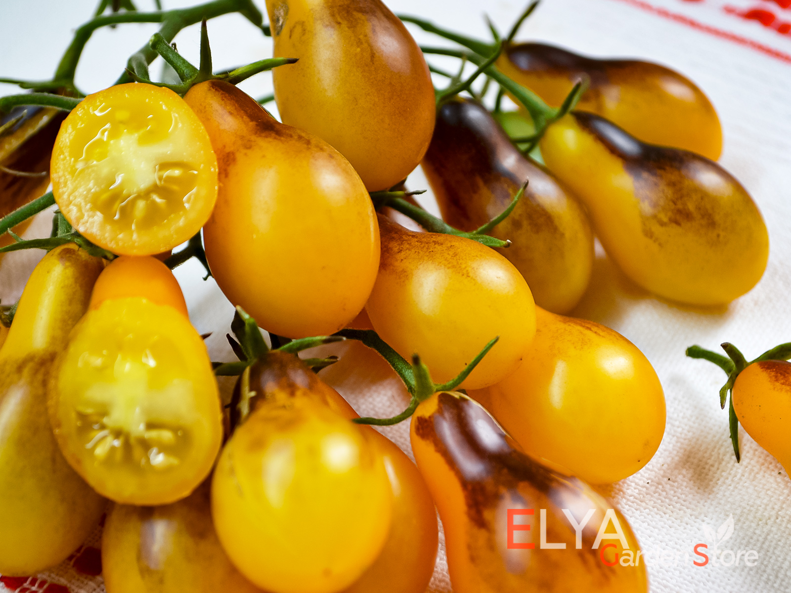 Индиго Кумкват Грушевидный - отличный коллекционный томат, сладкий, урожайный и красивый - фото магазина семzy Elya Garden - фото 