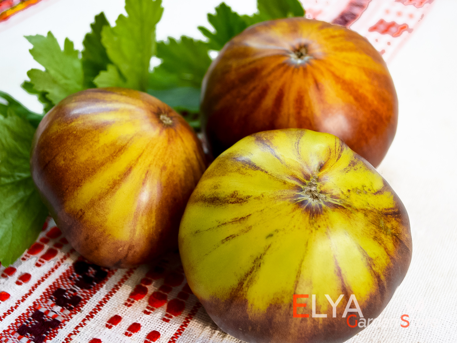 Коллекционный сорт томата Пурпура Ритц - красивый, с отличным сладким вкусом - фото