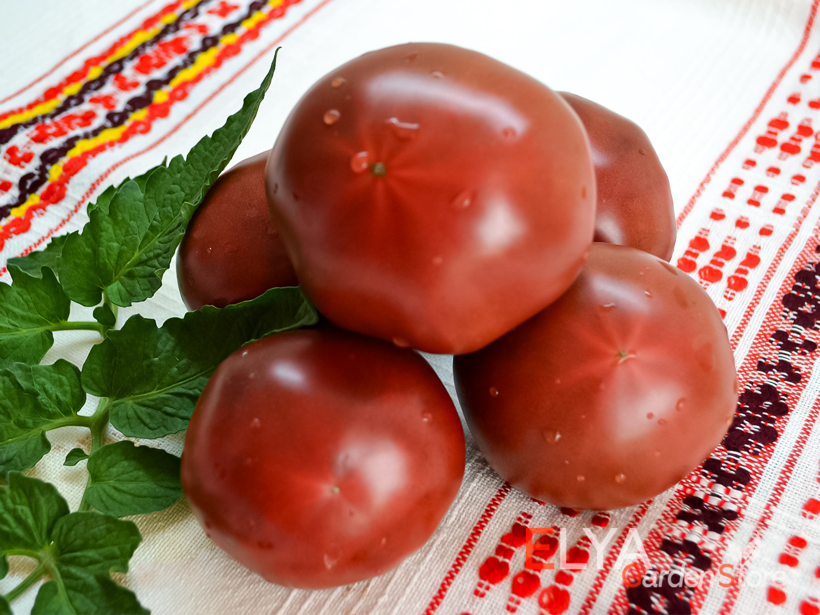 Семена томата Старая Голландия - коллекционный сорт с насыщенным томатным вкусом - фотограифя