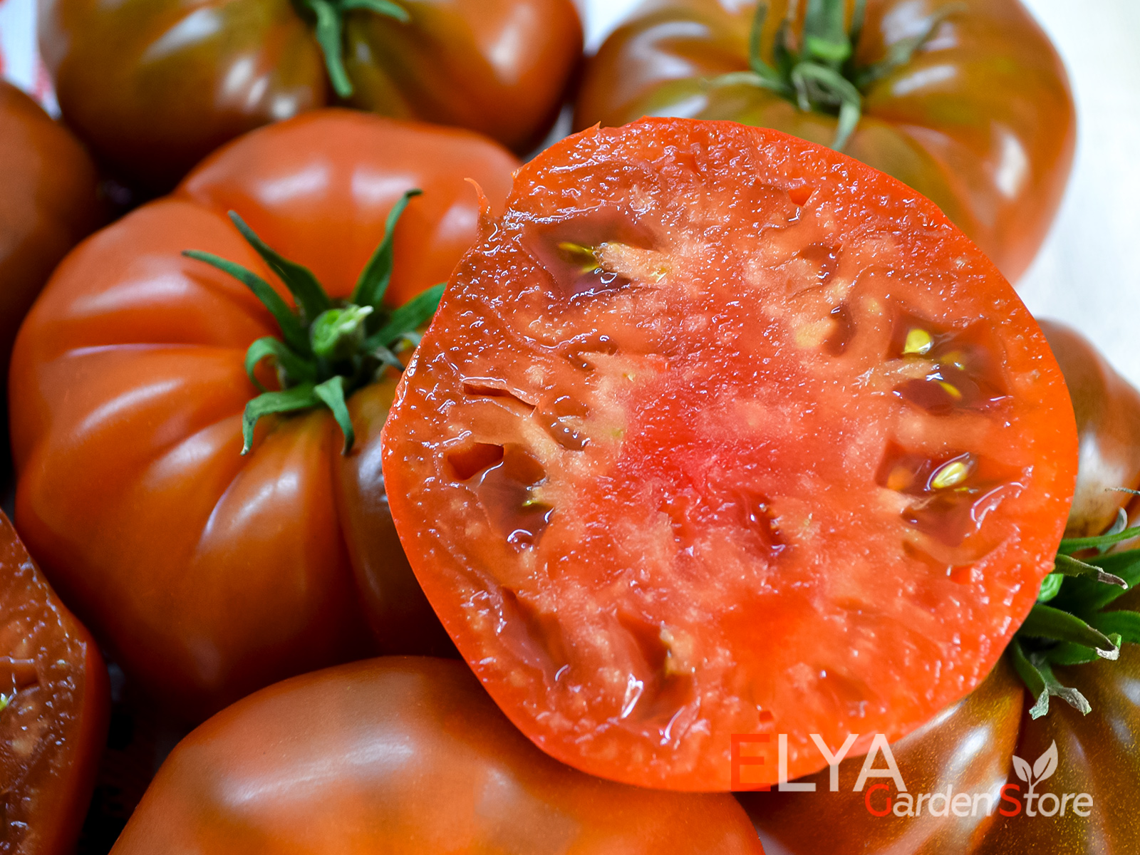 Адора - темноплодный сорт томата, урожайный, неприхотливый, очень вкусный - фото магазина семян Elya Garden 