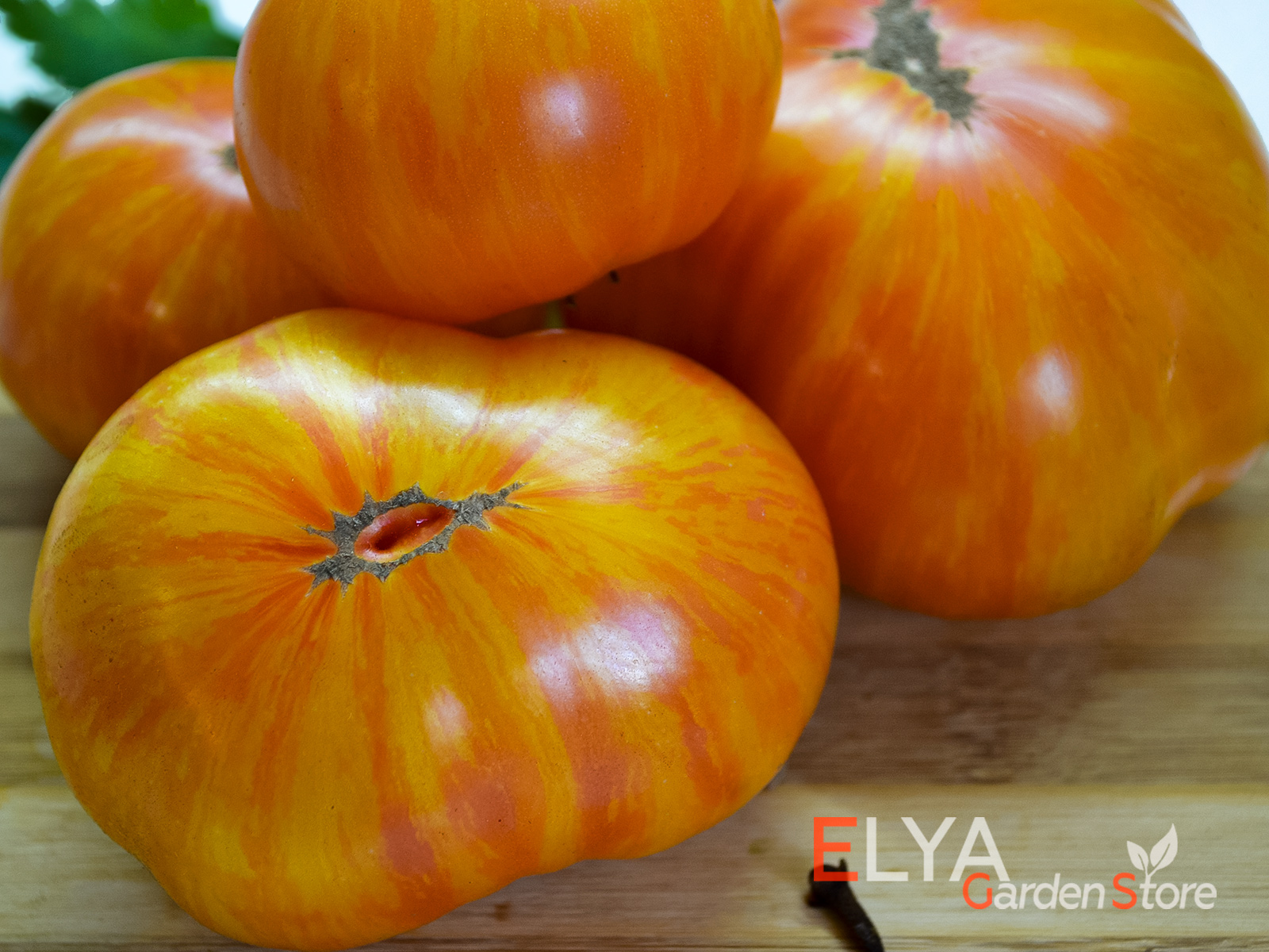 Коллекционный сорт томата DSA - гном вкусный, урожайный и красивый - фото магазина семян Elya Garden