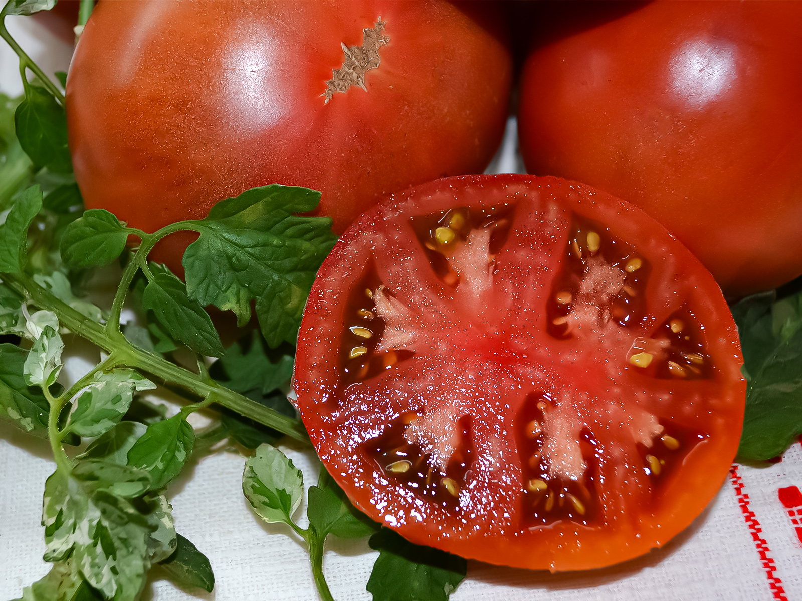Семена коллекционных сортов томатов в магазине Elya Garden - гном Голубые Побрякушки - фотография