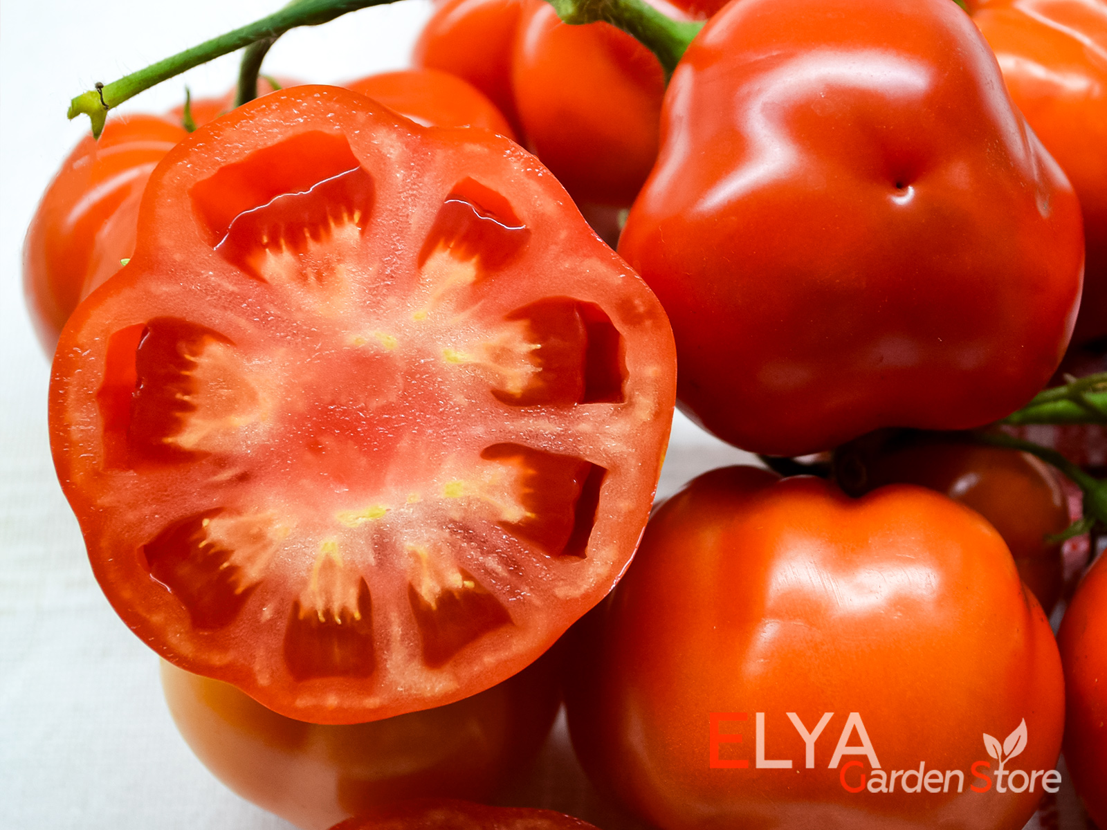 Коллекционный сорт томата Июньский - семена в магазине Elya Garden