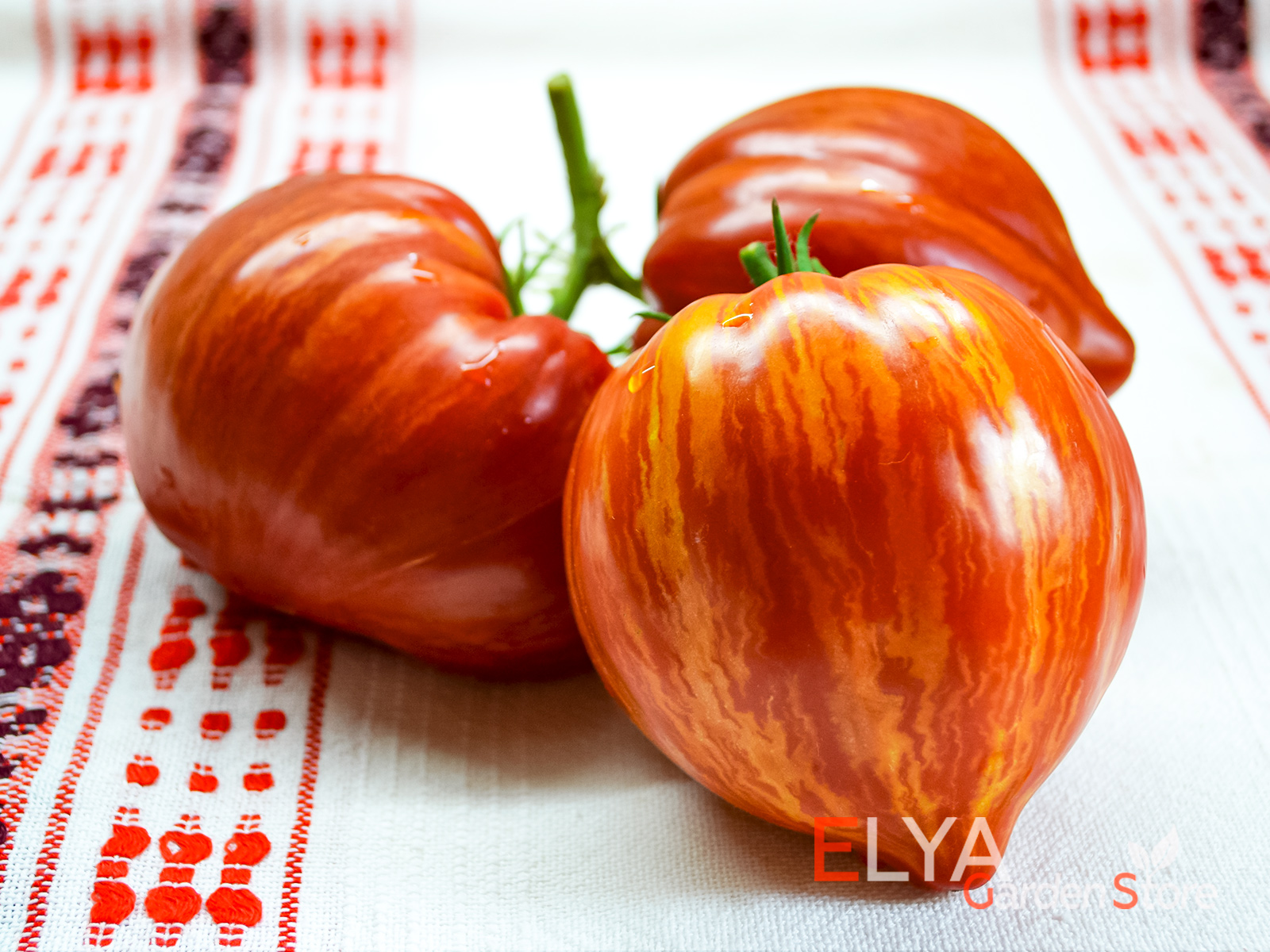 Каменистый Ручей Крапчатый - коллекционный орт томата гном с отличной урожайностью и насыщенным вкусом - фото магазина семян Elya Garden