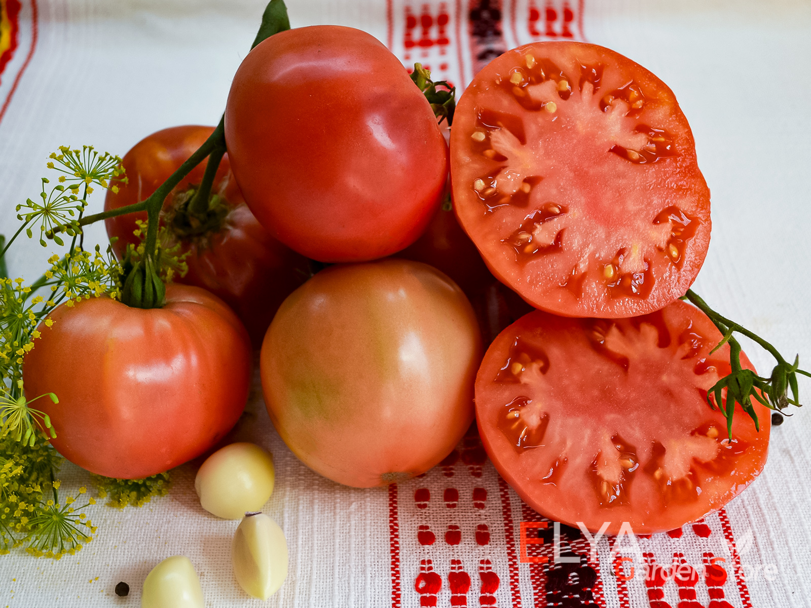 Семена коллекционного сорта томата ОПО - насыщенный вкус, гном, детерминантный куст - фото