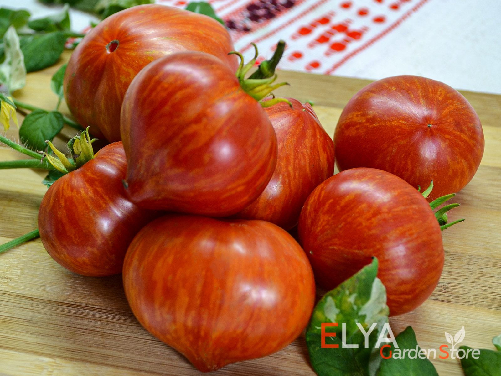Коллекционный сорт томата - гном Пайнтед Леди - отличный вкус, урожайный вариегатная листва - фотография 
